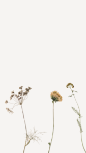 Neutral Dried Flowers Minimal Poetry Instagram Story